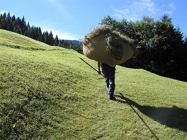 Agricoltura: online il bando del Gal Valle Brembana 2020