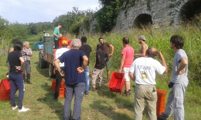 Oikos: il 10 novembre il convegno sugli sviluppi della cooperativa