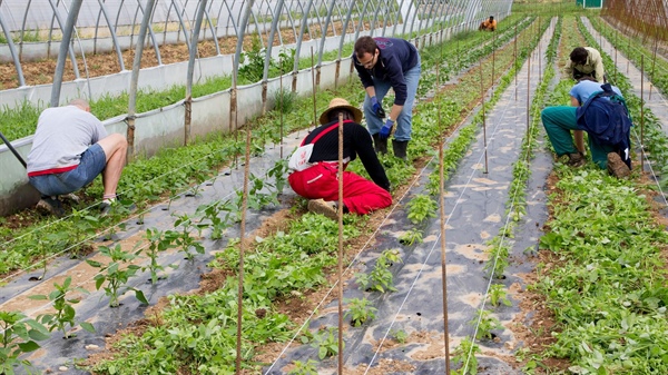 Il 27 novembre a Pavia “Agrisocializziamo!”: il workshop dedicato alle esperienze di agricoltura sociale nel mondo cooperativo