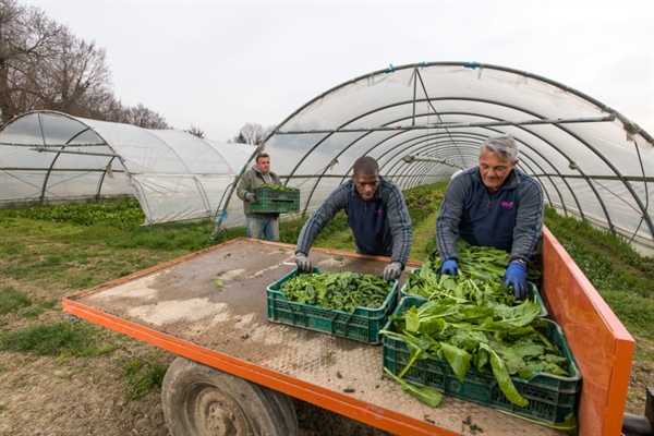 Cooperative di consumo, progetti e servizi per vincere vecchie e nuove sfide