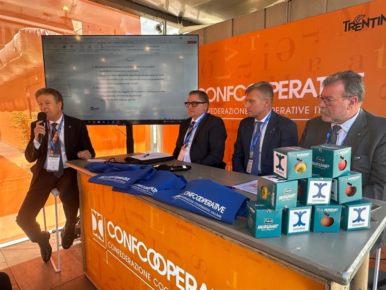 Mercuri: “Oltre 70 miliardi di export nel 2025. La...